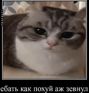 😒
