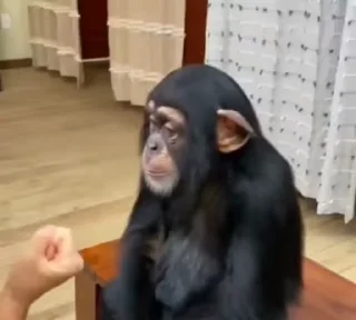 🤝