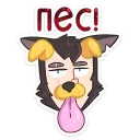 🐶