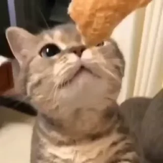 🧶