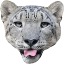 😛