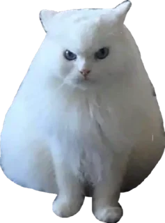 😠