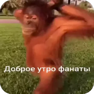 😴