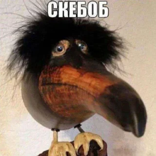 Скебоб @StickerChest