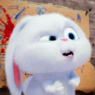 🐰