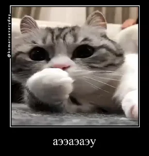 😐
