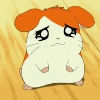 🐹