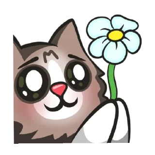 🌼