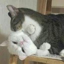 ❣