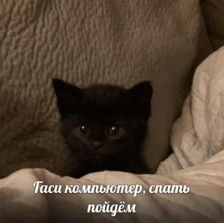😴