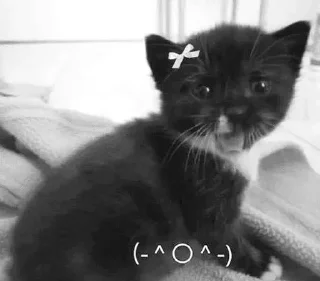 ☺️
