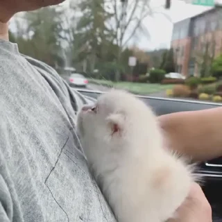 💋
