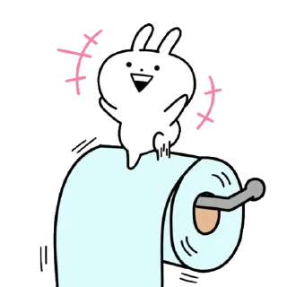 🧻