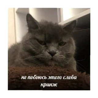 😑