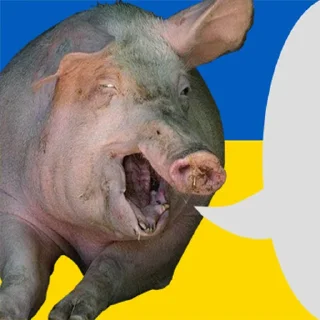 🇺🇦