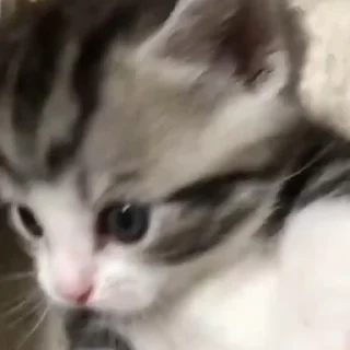 💋