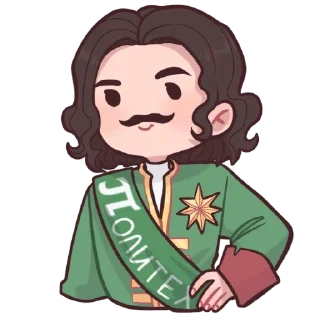 🌟