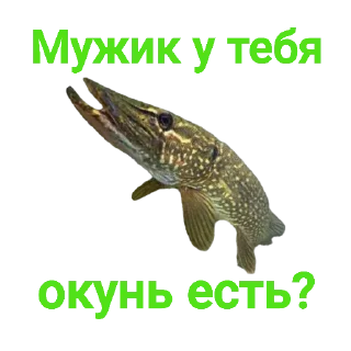 ❓