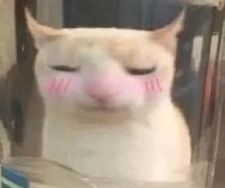 😺