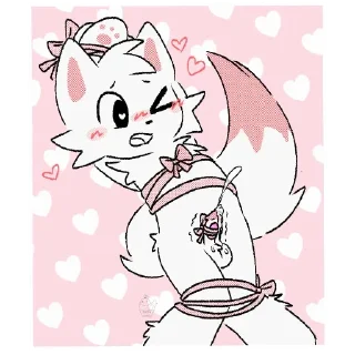 🐱
