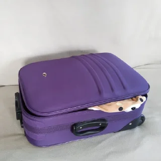🧳