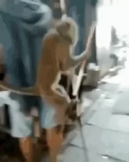 🐵