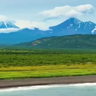 🌟