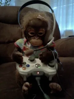 🎮