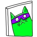 😺