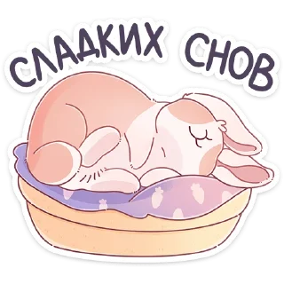 😴