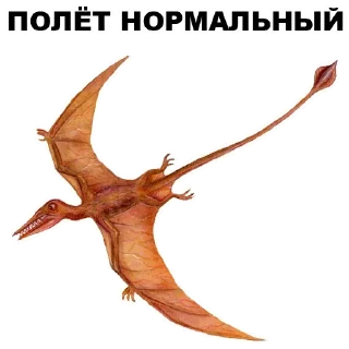 👌