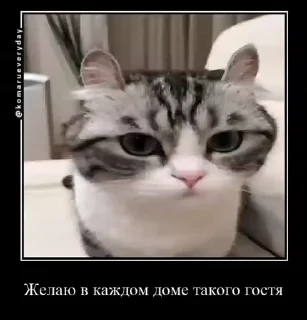 😳