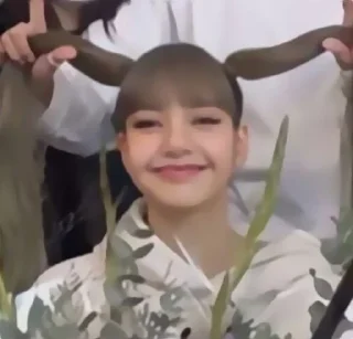 🍇