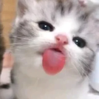 😛
