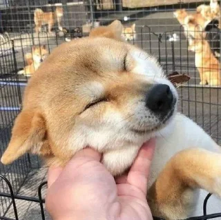💓
