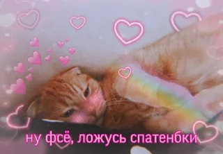 😴