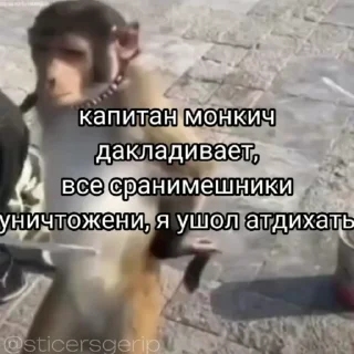 😎