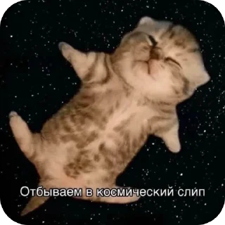 🫥