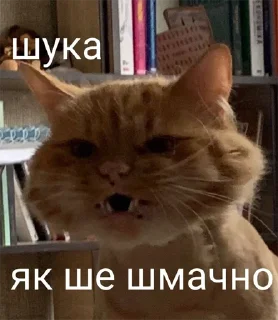 🤨