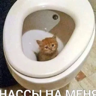 💦