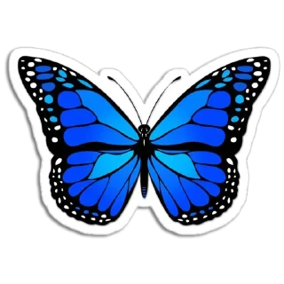 🦋