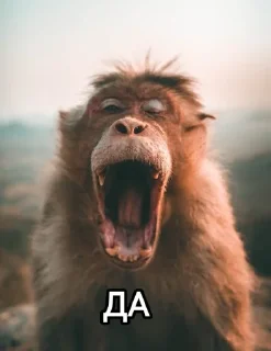 👈