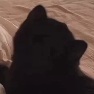 🤩