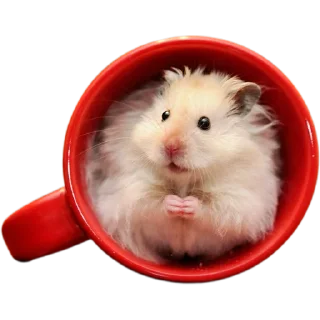 ☕️
