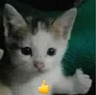 🎀