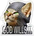 😼