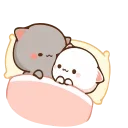 😽