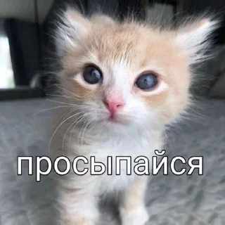 🥹