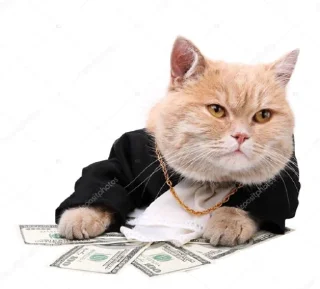 💸