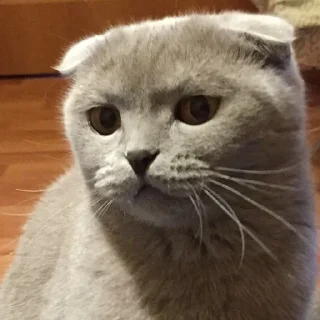 🤯